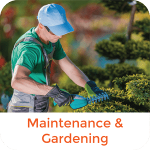 Maintenance & Gardening