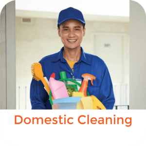 Domestic Cleaning